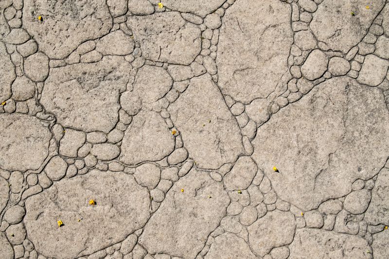 Common Causes Of Damage In Commercial Stamped Concrete Surfaces